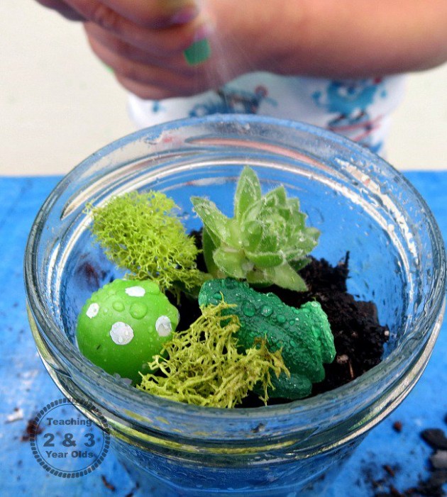 How to Make a Terrarium During Your Preschool Gardening Theme
