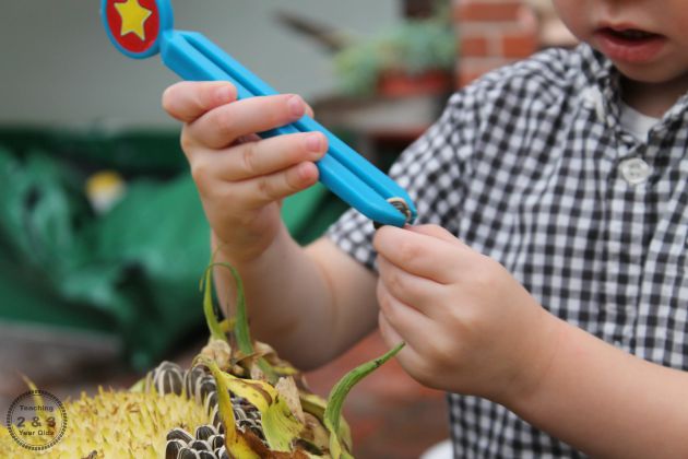 Fine Motor with Sunflowers