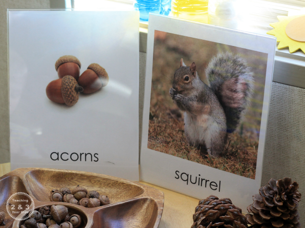 Explore Nature with These Preschool Science Ideas for Fall