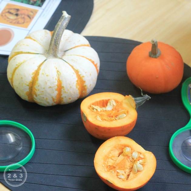 Explore Nature with These Preschool Science Ideas for Fall