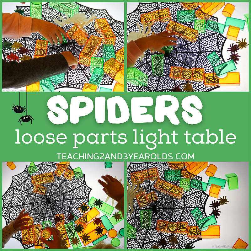spider light table