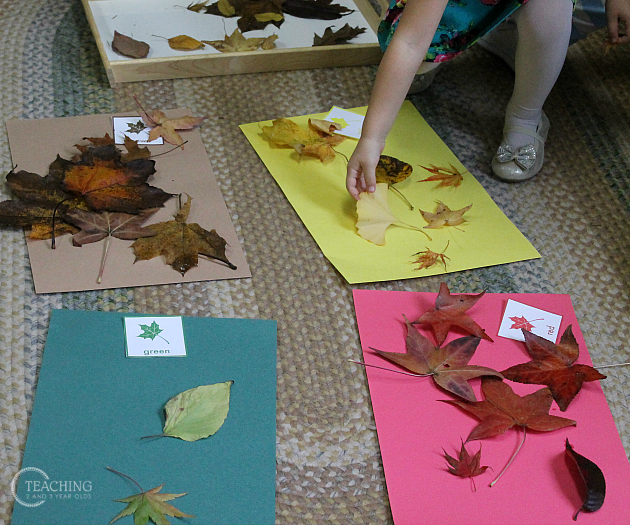 Fall Leaf Sorting with Free Printable