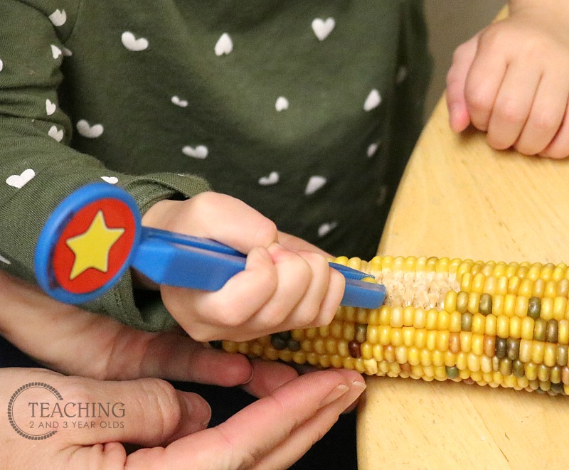 Preschool Tweezing Corn Fine Motor Activity
