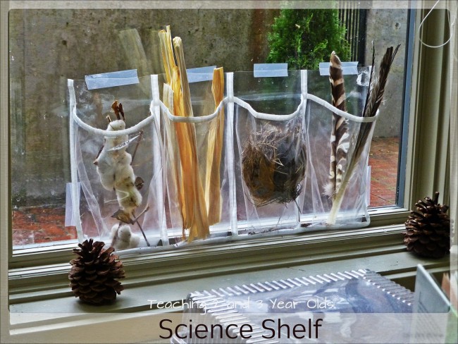 How to Set Up a Preschool Science Area in a Small Space