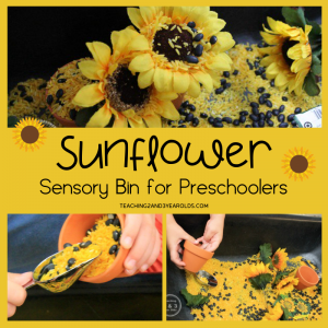 How to Make a Preschool Sunflower Sensory Table