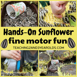 preschool sunflower activity
