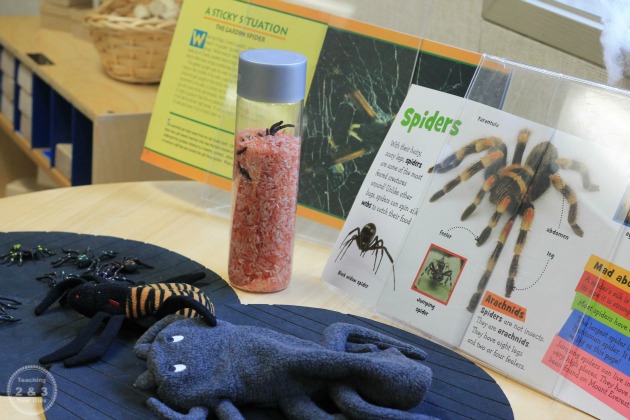 Learning About Spiders at the Preschool Science Center 