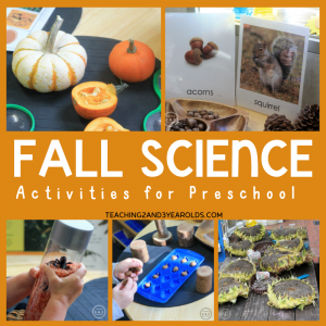 Explore Nature with these Preschool Fall Science Activities