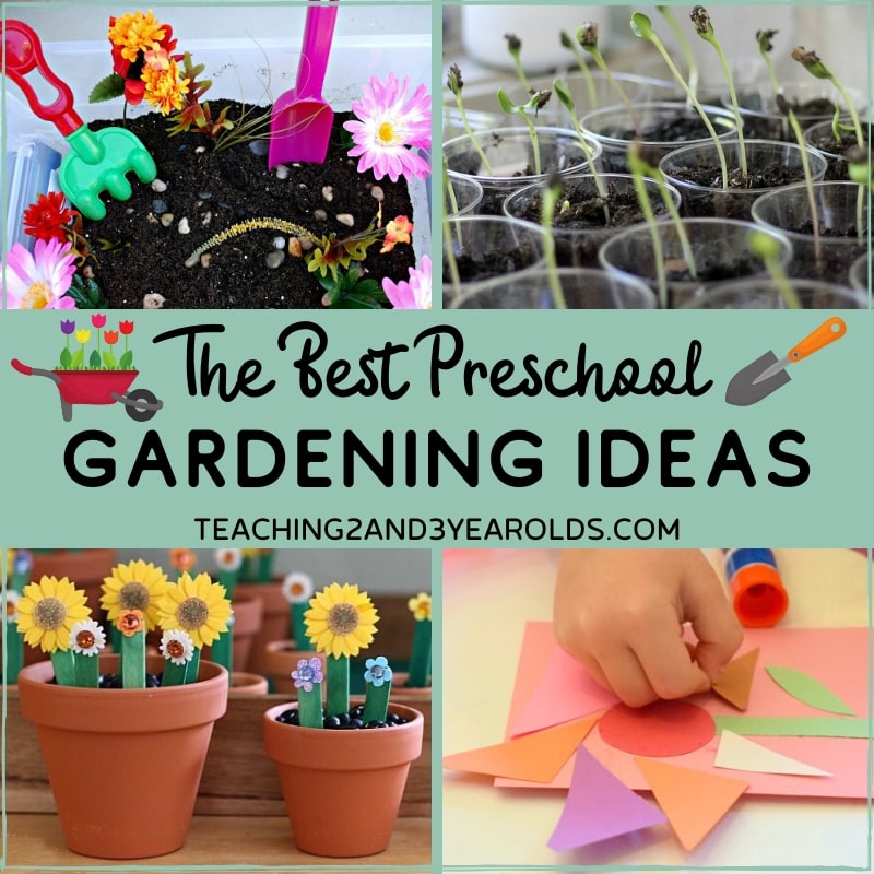 preschool gardening ideas