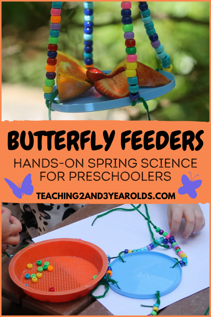 How to Make an Easy Butterfly Feeder for a Spring Science Activity
