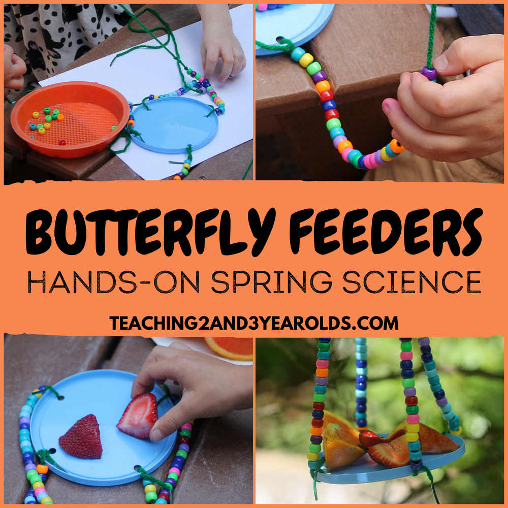 How to Make an Easy Butterfly Feeder for a Spring Science Activity