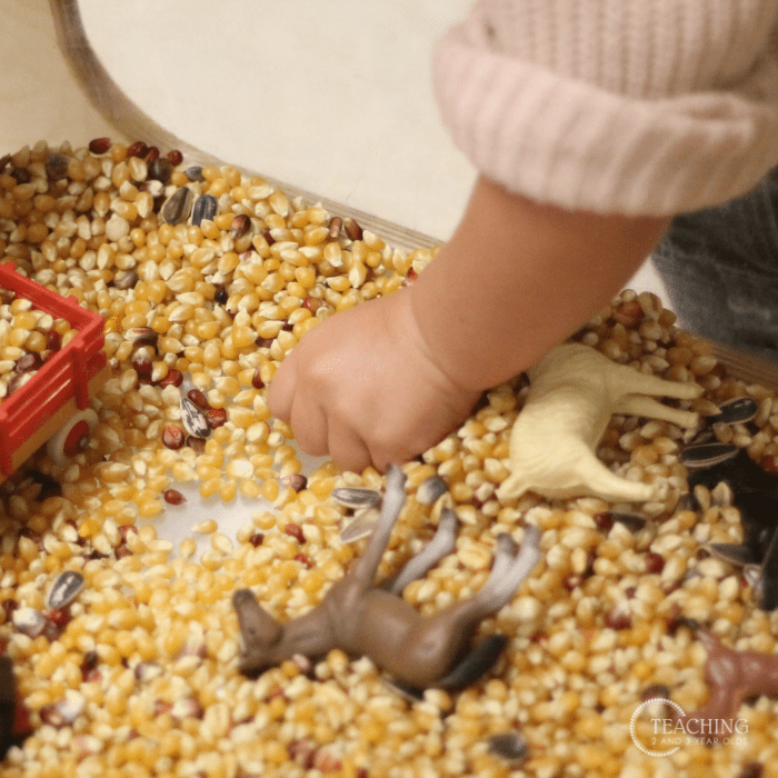 preschool farm sensory bin