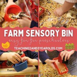 preschool farm sensory bin