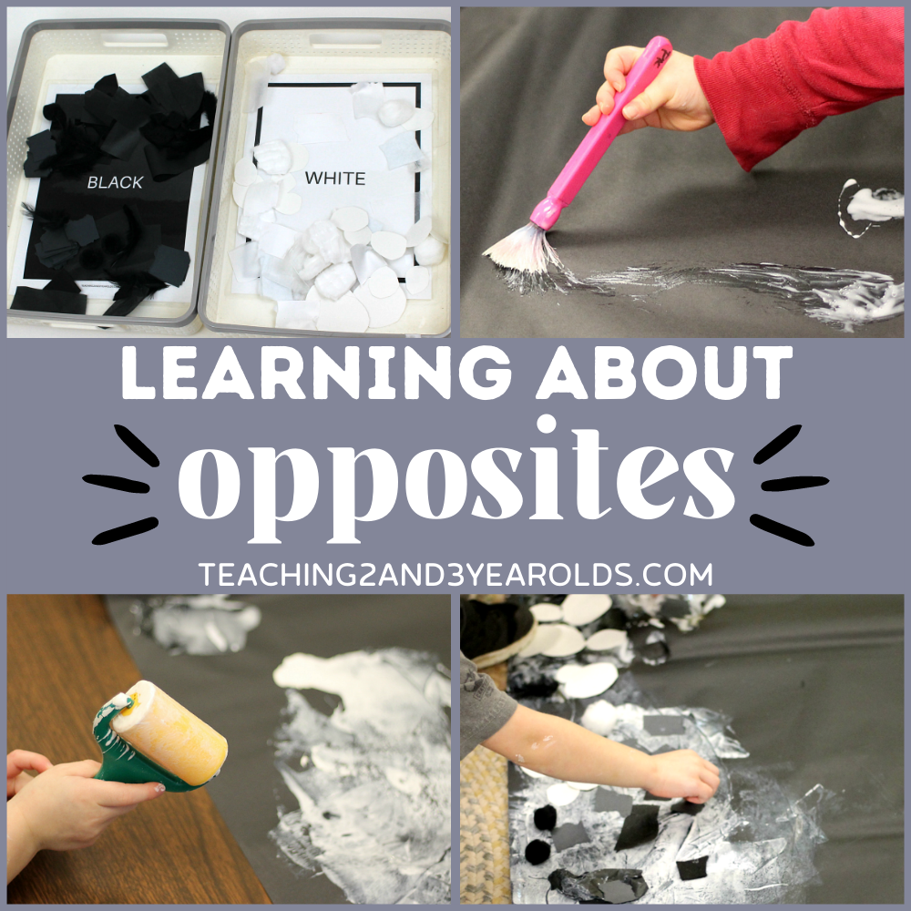 Learning About Opposites with a Fun Black and White Sorting Activity