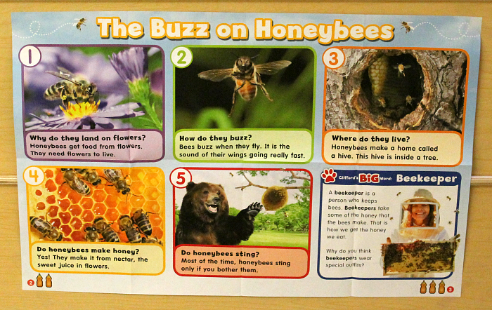 Learning About Bees with Preschoolers
