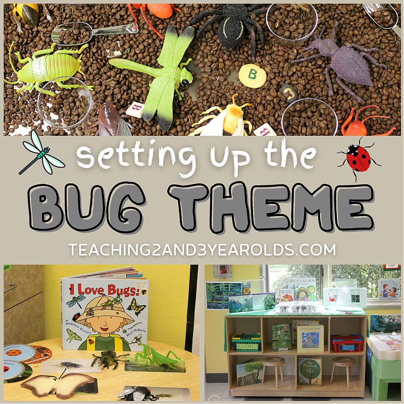 toddler and preschool bug theme