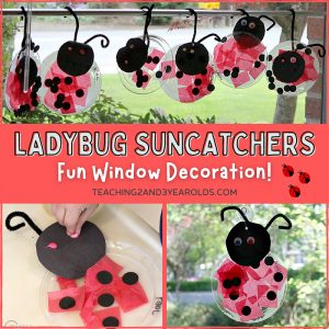 suncatcher ladybug craft