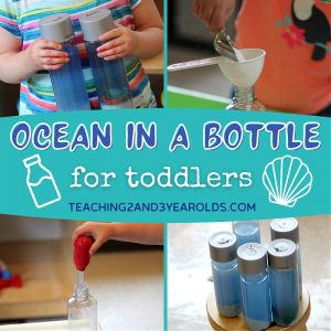 How to Put Together an Ocean Activity in a Discovery Bottle