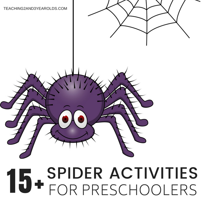 15+ Spider Activities Your Preschoolers Will Love
