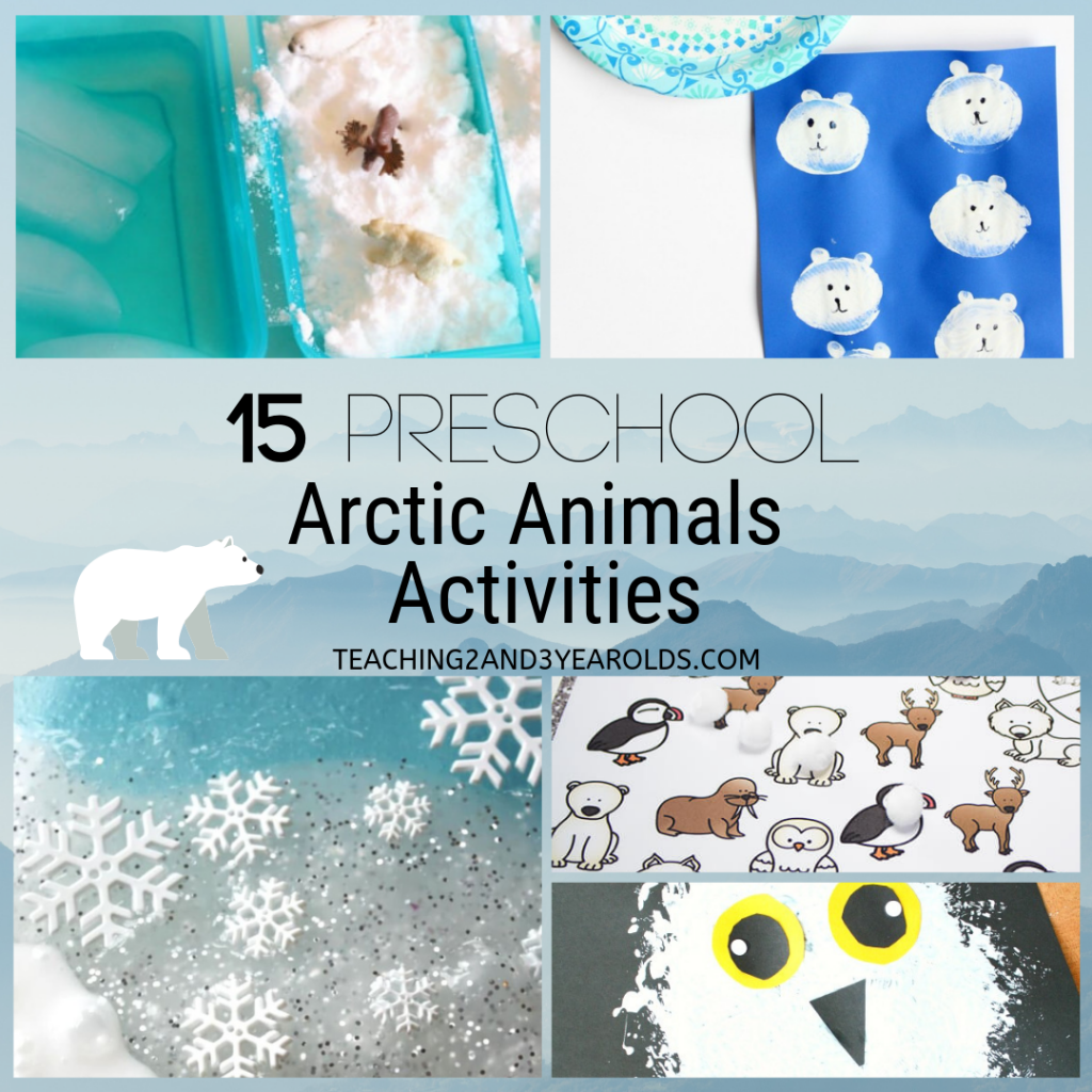 15 preschool arctic animals activities