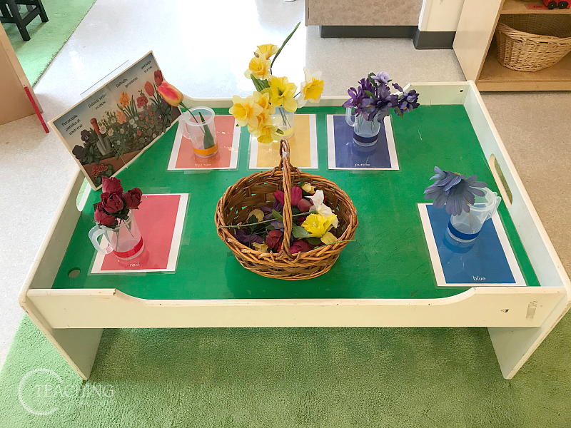 Spring Color Sorting Activity that Goes with Your Gardening Theme