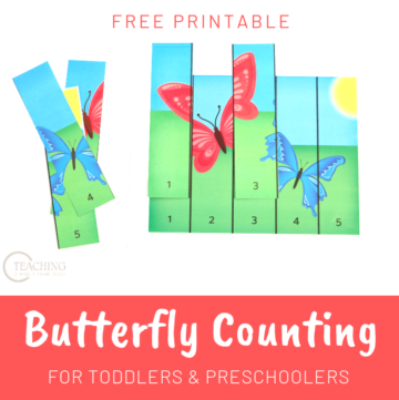 learn how to count butterfly