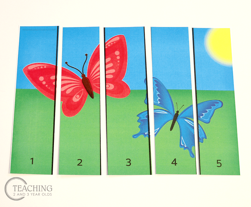 learn how to count butterfly