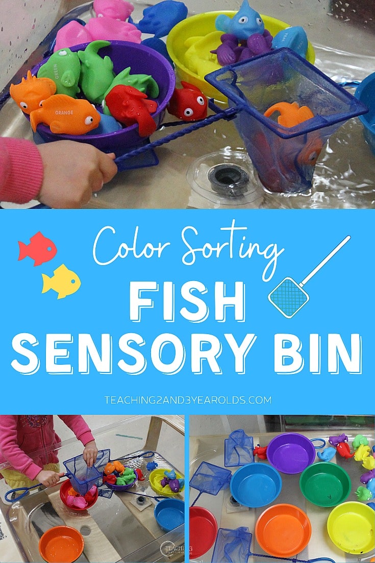 fish ocean sensory bin