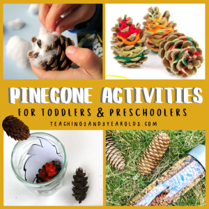 Fun Pinecone Activities for Toddlers and Preschoolers