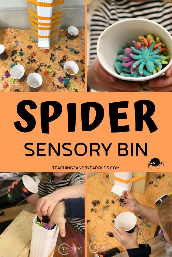 spider sensory bin