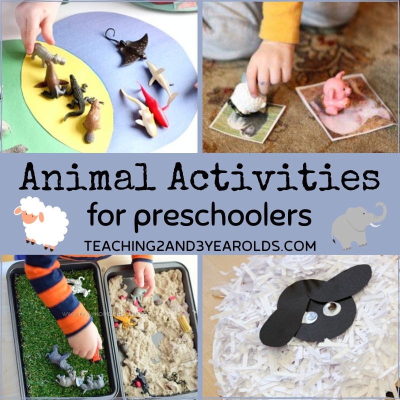 Fun Toddler and Preschool Animal Activities