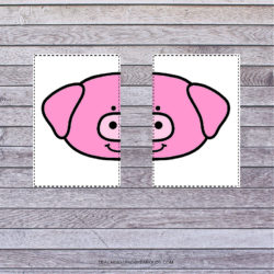Preschool Symmetry Puzzle Printables