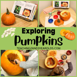 pumpkin science