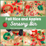 Rice Apple Sensory Bin for Fine Motor Fun