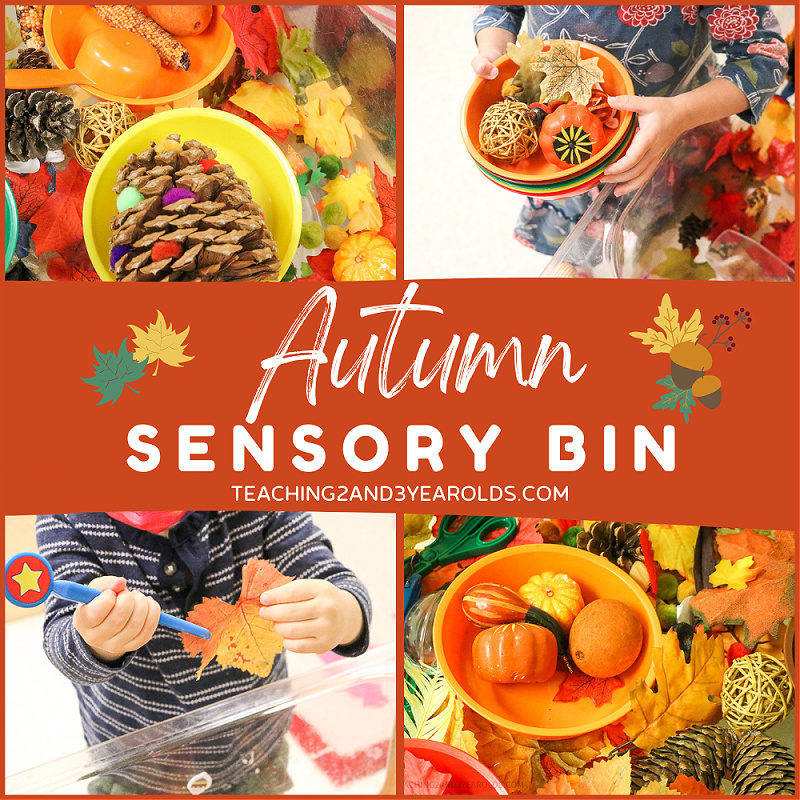 Preschool Autumn Sensory Bin