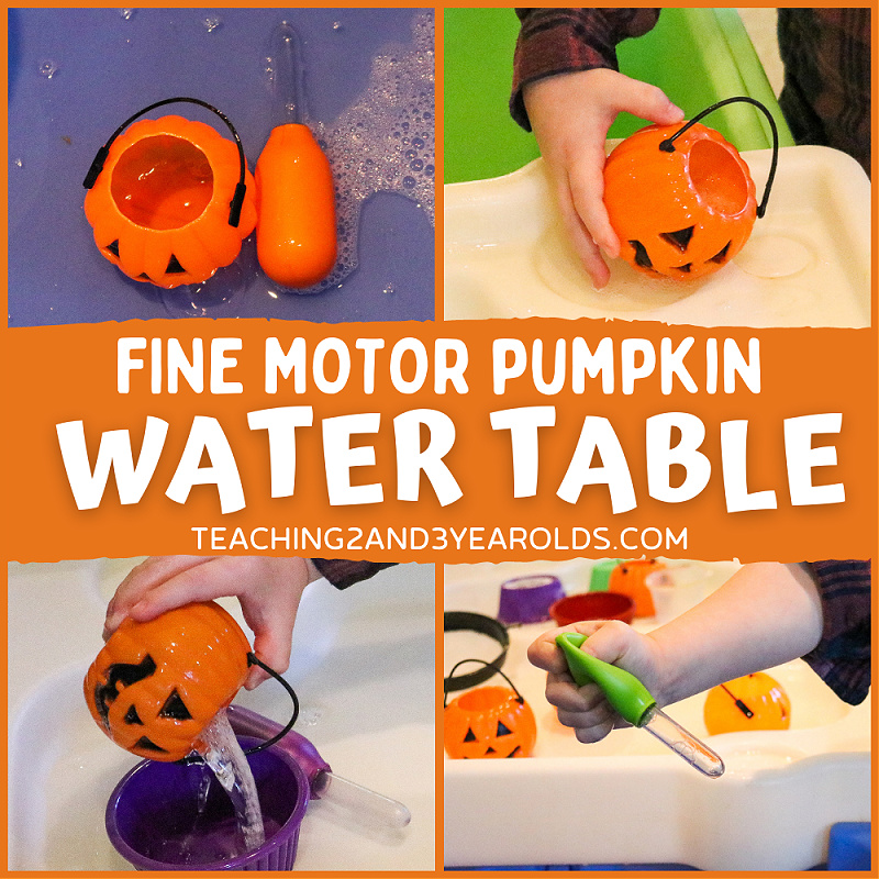 pumpkin water table