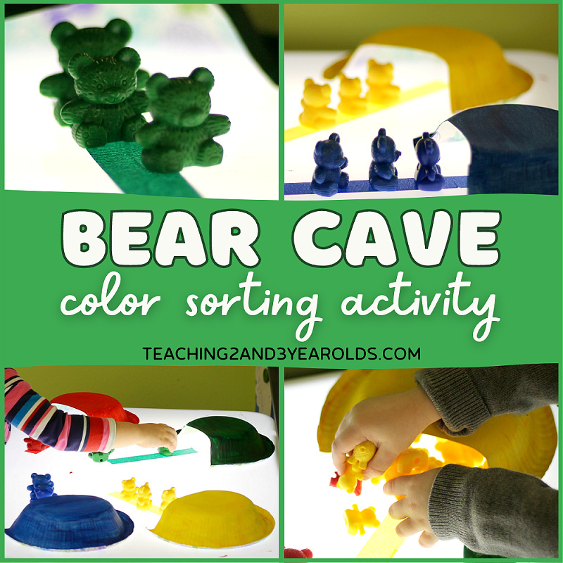 color sorting bear activity