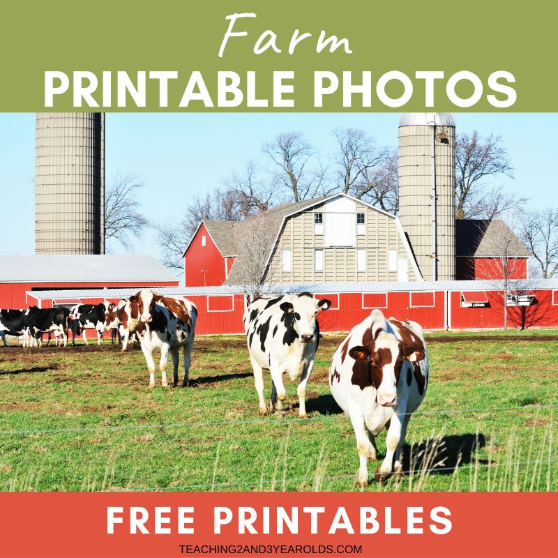 Free Printable Farm Theme Photos