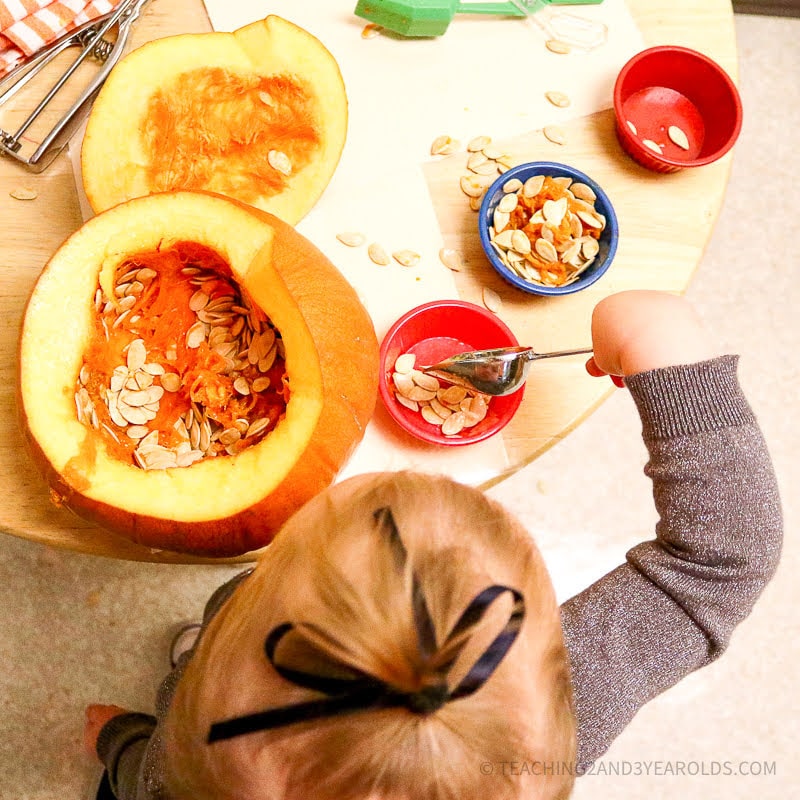 preschool pumpkin theme resources-