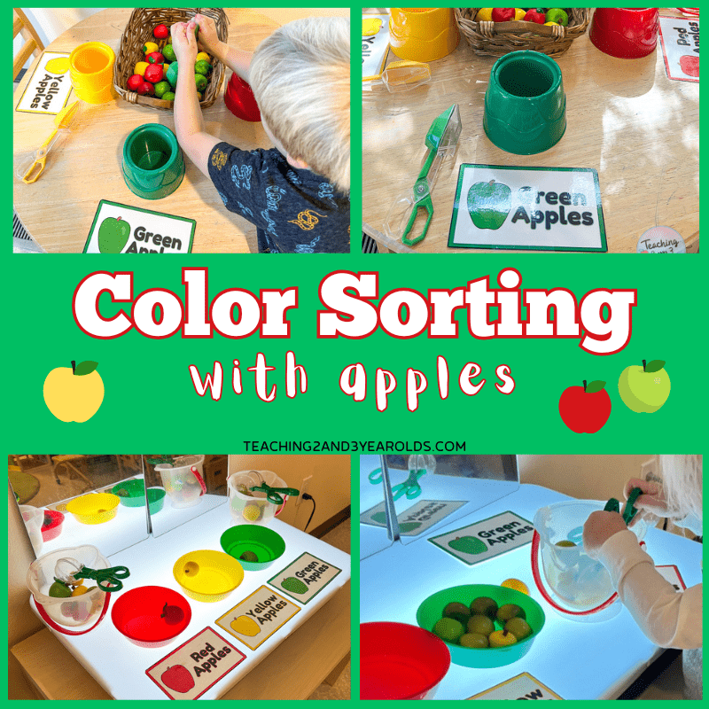 preschool apple color sorting