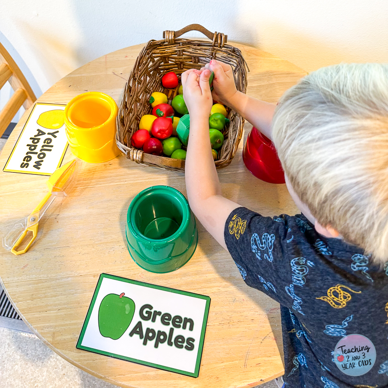 preschool apple color sorting