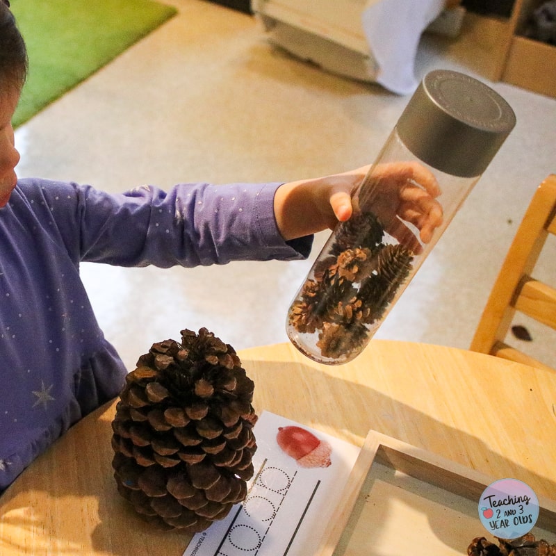 preschool pinecone exploration