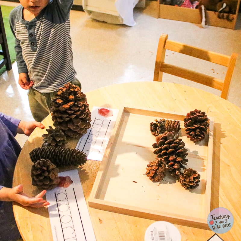 preschool pinecones exploration
