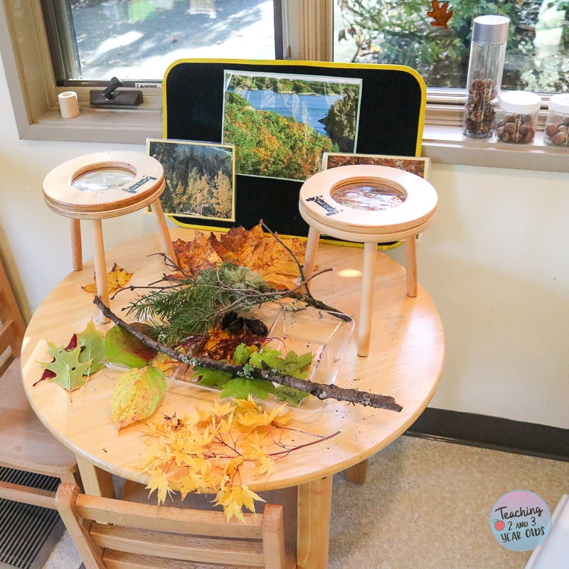 preschool pinecones exploration
