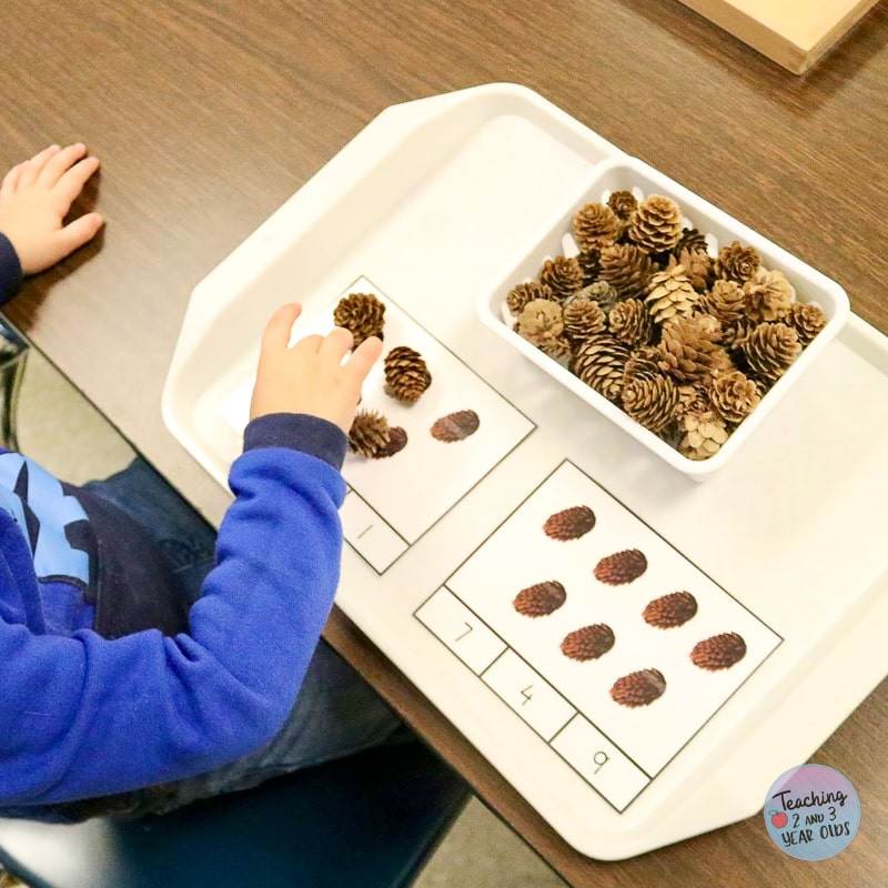 preschool pinecone exploration