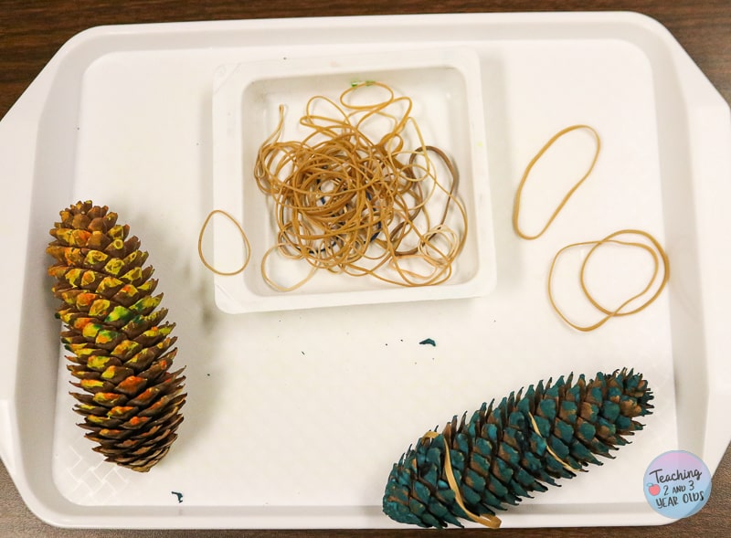 preschool pinecone exploration