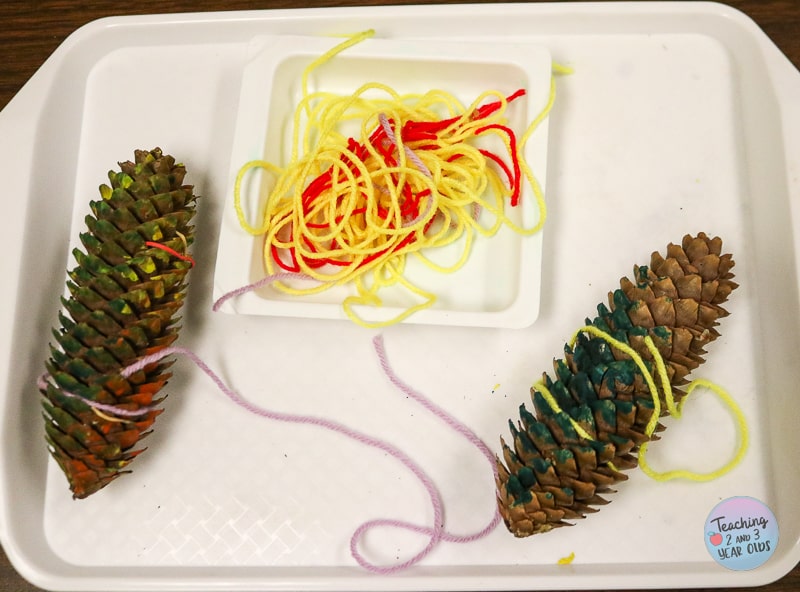preschool pinecone exploration