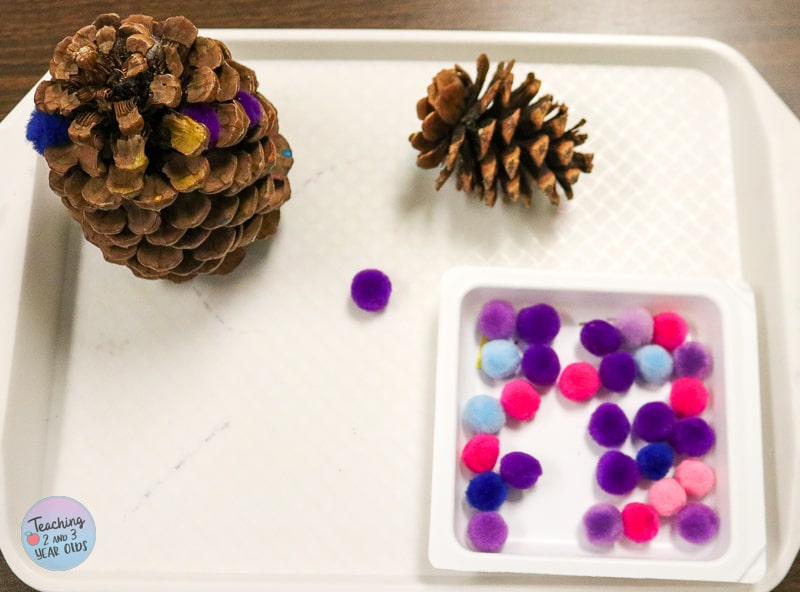preschool pinecone exploration