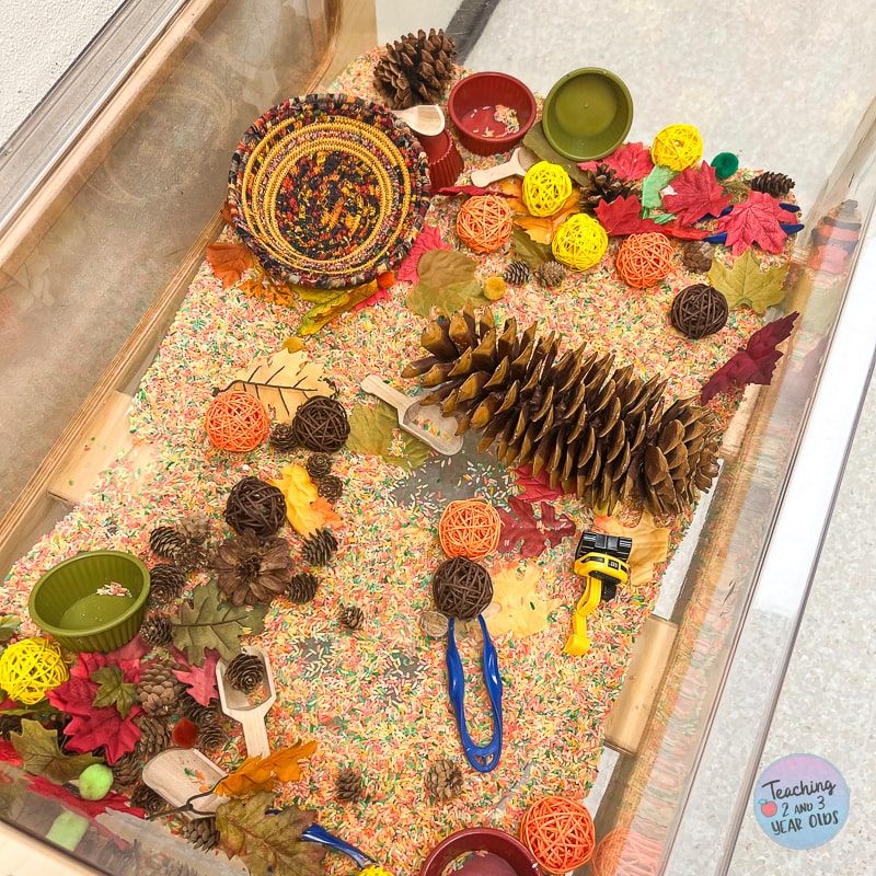 preschool pinecone exploration