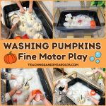 preschool pumpkin washing activity
